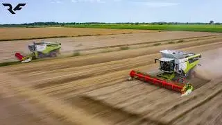 | TWO Lexions IN the SAME FIELD| Claas Lexion 7700 & Claas Lexion 760| Bassan Snc|