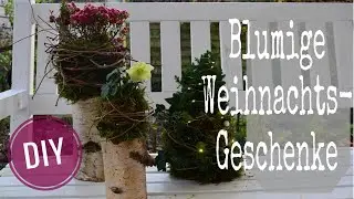 DIY-WEIHNACHTSDEKO: EDLE, BLUMIGE WEIHNACHTSGESCHENKE selber machen mit OUTDOOR -TOPFPFLANZEN