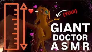 ASMR FURRY 