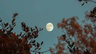 Jóhan Jóhannsson - Good Night, Day (slowed + reverb)