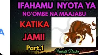 ELIMU YA NYOTA:IFAHAMU NYOTA YA NG'OMBE NA MAAJABU YAKE.part 1