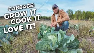All About Cabbage Grow It, Cook It, Love It!