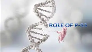 p-53- An overview /Tumor supressor gene   #cellbiology#apoptosis#csirugcnetlifesciences#biolearning