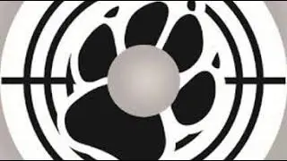 Кошка Сашка - Дятлы