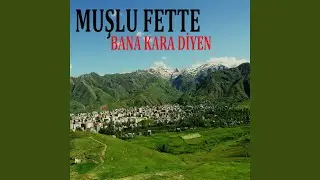 Bana Kara Diyen