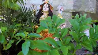 छठ पूजा 2024 | छठ मैया के भव्य अर्चना और पूजा गीत | Chhath Maiya Bhajan