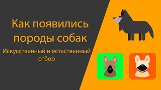 Эволюция | Искусственный и Естественный отборы