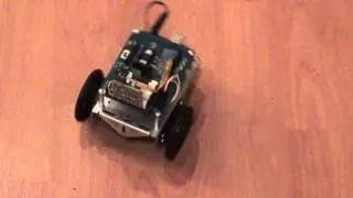 Случайноходящий робот (randomBot)