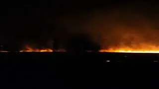 Пожар в пойме Дона 24 августа