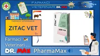 🐶 ZITAC VET Farmaco Veterinario a cosa serve ? - Foglietto Illustrativo Salute