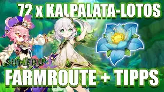 72 Kalpalata-Lotus Farmroute ~ Sumeru ~ Tipps ~ Kommentar ~ Genshin Impact