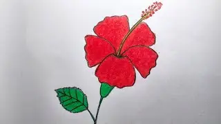 How to Draw Hibiscus Flower || Hibiscus Flower Drawing Tutorial