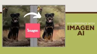 My Experience with Imagen AI - Save Time Editing in Lightroom