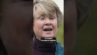 "There are no alternatives" #shorts