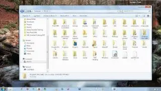 VIM Windows Installation