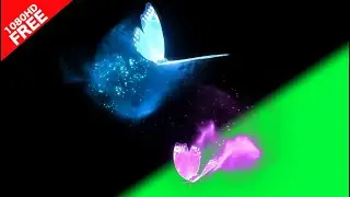 magic butterflies Green Screen Video ZzLAB