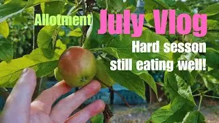 July Vlog. Allotment, potatoes, chips & some BBQ wings!