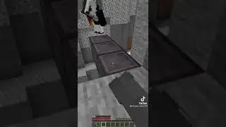 What would you choose l😼 #shorts #Minecraft #а4 #fyr #Майнкрафт #amongus #амонгас #приколы #мемы