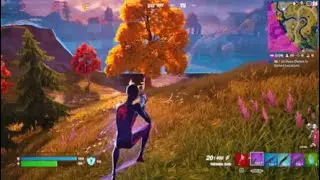 Fortnite season 4 chapter 3 crown Part 1