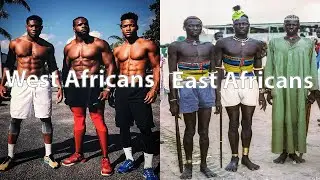 Why Do West Africans Have More Fast Twitch Muscle Genes?