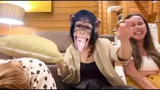 Funny filter challenge