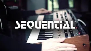 Surprise! OB-6 Easter Egg Reveal With J3PO