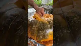 HUGE PUMPKIN HUGE TASTE!