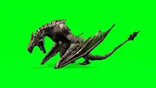 Dragon fly green screen video