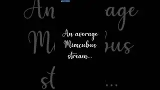 What An Average Mimcubus Stream | 