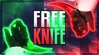 Giveaway Winner