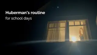 Andrew Huberman's optimal morning routine for students