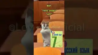Жиза🤔🤨#хочуврек#котики#футажи#shorts Автор звука:@animatordimka
