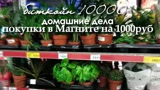 Shopping at Magnit for 1000. A REGULAR DAY, changing light bulbs, playing with the kids.