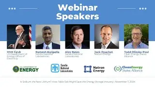 Is Sodium the New Lithium? How Table Salt Might Save the Energy Storage Industry (11.7.24)