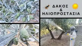 ΠΡΟΣΤΑΣΙΑ ΕΛΑΙΩΝΩΝ - ΑΝΤΙΜΕΤΩΠΙΣΗ ΔΑΚΟΥ & ΘΕΡΜΙΚΟΥ ΣΤΡΕΣ