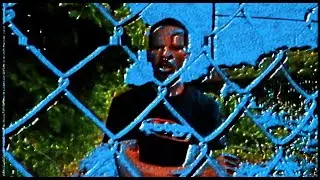 Shark Breach - Two Faced