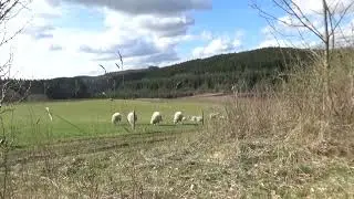 Terrorangreb i Rusland, Sankt Petersborg - Finland - Nato og en del dybe tanker omkring verden m.m.