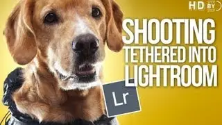Adobe Photoshop Lightroom