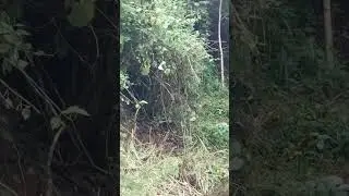 Linda e bela essa cachoeira