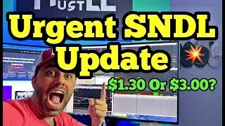SNDL Stock Price Update & Analysis