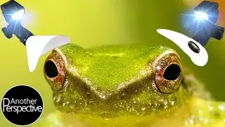 DIY - Create Awesome Flash Diffuser for Macro Photography