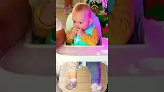 Хищник плачет от лука и кастрюли😁