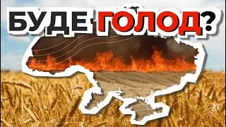 Чому експорт українського зерна - це всесвітня проблема?