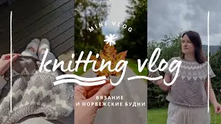 vlog 32/24 | начинаю новые процессы ✨️ два шикарных свитера 💛 мои вязальные инструменты 🎁 подарок