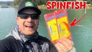 Yakima Bait Spinfish Spring Trout Fishing CHALLENGE (How Many Spins Until...)