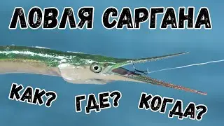 КАК ЛОВИТЬ САРГАНА. Топ 3 проводки ПИЛЬКЕРА. Время и место.  Рыбалка на море!