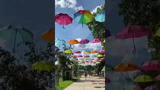 #лето2024 #врекомендации #парк