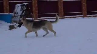 ЦУНАМИ ТРЕНИРУЕТСЯ ПЕРЕД САСИБОМ))
