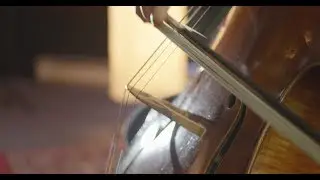 Wilder Strings Pop Sampler 2018