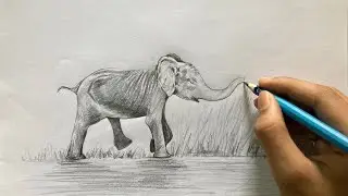 How to draw a baby elephant step by step and easy drawing 